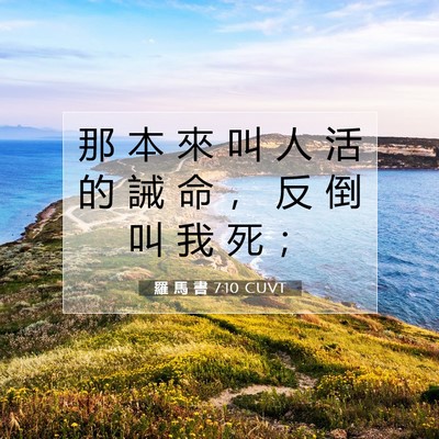 Picture 07 - 羅 馬 書 7:10 CUVT - 那 本 來 叫 人 活 的 誡 命 ， 反 倒 - Bible Verse Picture
