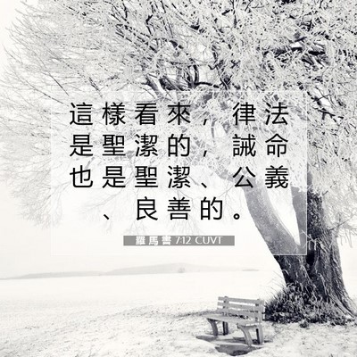 Picture 07 - 羅 馬 書 7:12 CUVT - 這 樣 看 來 ， 律 法 是 聖 潔 的 ， - Bible Verse Picture