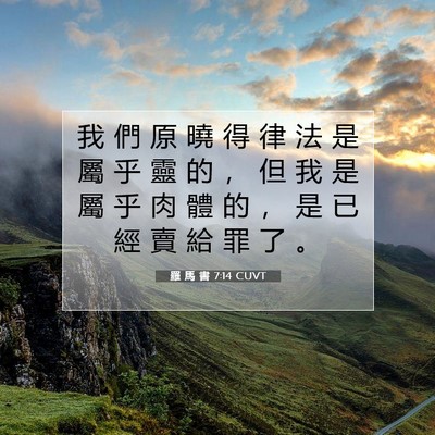 Picture 07 - 羅 馬 書 7:14 CUVT - 我 們 原 曉 得 律 法 是 屬 乎 靈 的 - Bible Verse Picture