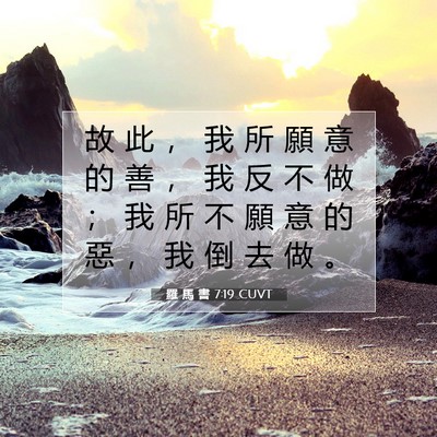Picture 07 - 羅 馬 書 7:19 CUVT - 故 此 ， 我 所 願 意 的 善 ， 我 反 - Bible Verse Picture
