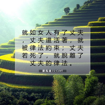 Picture 07 - 羅 馬 書 7:2 CUVT - 就 如 女 人 有 了 丈 夫 ， 丈 夫 還 - Bible Verse Picture