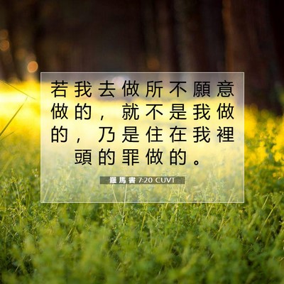 Picture 07 - 羅 馬 書 7:20 CUVT - 若 我 去 做 所 不 願 意 做 的 ， 就 - Bible Verse Picture