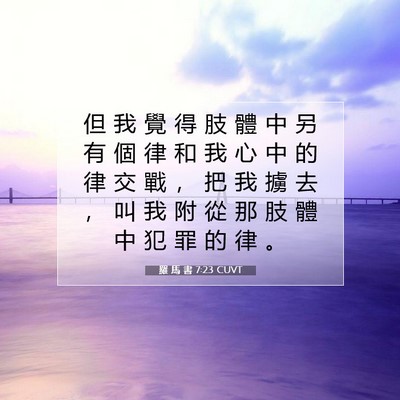 Picture 07 - 羅 馬 書 7:23 CUVT - 但 我 覺 得 肢 體 中 另 有 個 律 和 - Bible Verse Picture