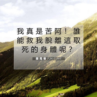 Picture 07 - 羅 馬 書 7:24 CUVT - 我 真 是 苦 阿 ！ 誰 能 救 我 脫 離 - Bible Verse Picture
