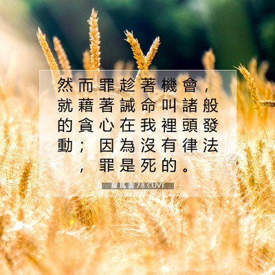 Picture 07 - 羅 馬 書 7:8 CUVT - 然 而 罪 趁 著 機 會 ， 就 藉 著 誡 - Bible Verse Picture