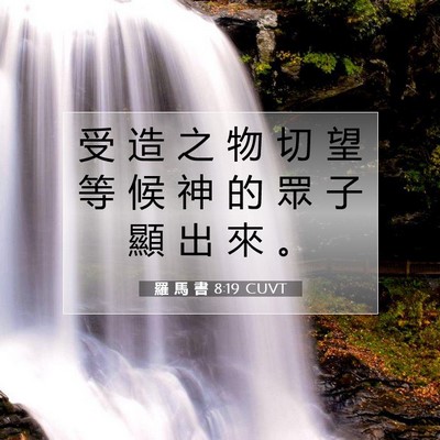 Picture 07 - 羅 馬 書 8:19 CUVT - 受 造 之 物 切 望 等 候 神 的 眾 子 - Bible Verse Picture