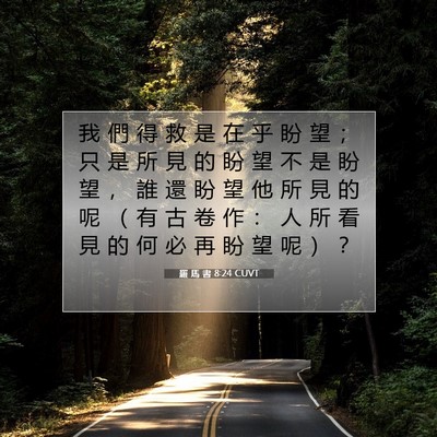 Picture 07 - 羅 馬 書 8:24 CUVT - 我 們 得 救 是 在 乎 盼 望 ； 只 是 - Bible Verse Picture