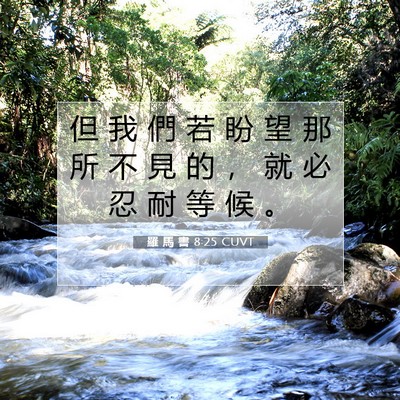 Picture 07 - 羅 馬 書 8:25 CUVT - 但 我 們 若 盼 望 那 所 不 見 的 ， - Bible Verse Picture