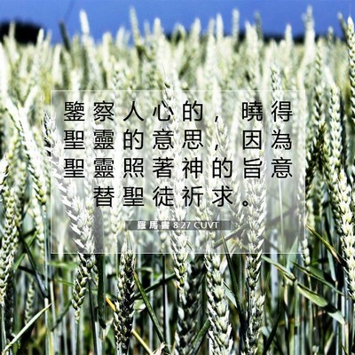 Picture 07 - 羅 馬 書 8:27 CUVT - 鑒 察 人 心 的 ， 曉 得 聖 靈 的 意 - Bible Verse Picture