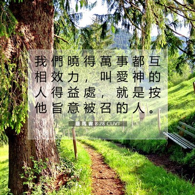 Picture 07 - 羅 馬 書 8:28 CUVT - 我 們 曉 得 萬 事 都 互 相 效 力 ， - Bible Verse Picture