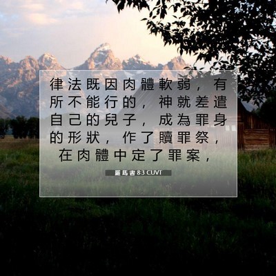 Picture 07 - 羅 馬 書 8:3 CUVT - 律 法 既 因 肉 體 軟 弱 ， 有 所 不 - Bible Verse Picture