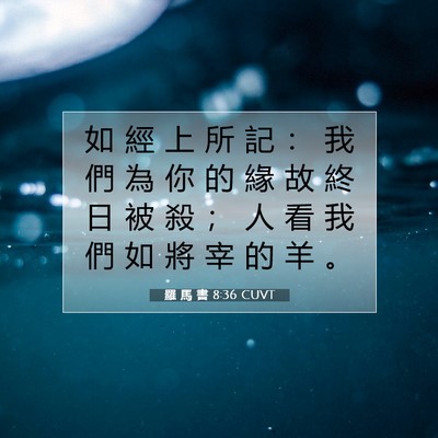 Picture 07 - 羅 馬 書 8:36 CUVT - 如 經 上 所 記 ： 我 們 為 你 的 緣 - Bible Verse Picture