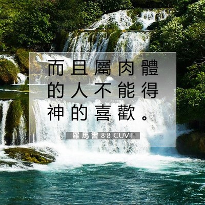 Picture 07 - 羅 馬 書 8:8 CUVT - 而 且 屬 肉 體 的 人 不 能 得 神 的 - Bible Verse Picture