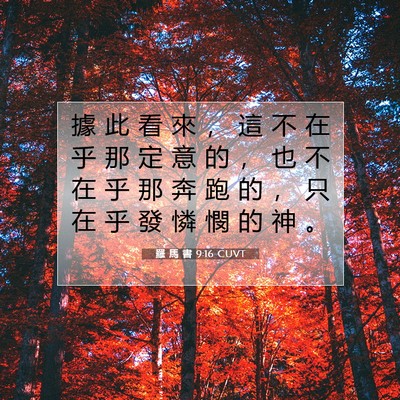 Picture 07 - 羅 馬 書 9:16 CUVT - 據 此 看 來 ， 這 不 在 乎 那 定 意 - Bible Verse Picture