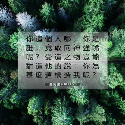 Picture 07 - 羅 馬 書 9:20 CUVT - 你 這 個 人 哪 ， 你 是 誰 ， 竟 敢 - Bible Verse Picture