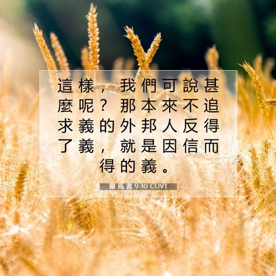 Picture 07 - 羅 馬 書 9:30 CUVT - 這 樣 ， 我 們 可 說 甚 麼 呢 ？ 那 - Bible Verse Picture