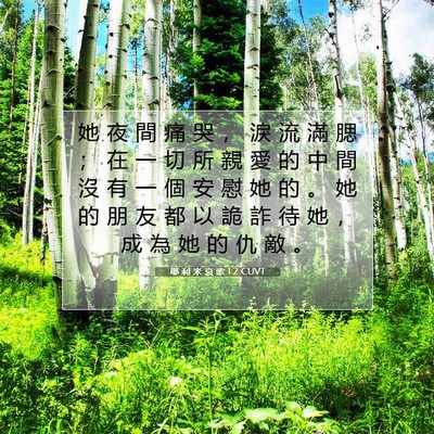 Picture 07 - 耶 利 米 哀 歌 1:2 CUVT - 她 夜 間 痛 哭 ， 淚 流 滿 腮 ； 在 - Bible Verse Picture