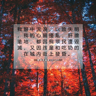 Picture 07 - 耶 利 米 哀 歌 2:11 CUVT - 我 眼 中 流 淚 ， 以 致 失 明 ， 我 - Bible Verse Picture