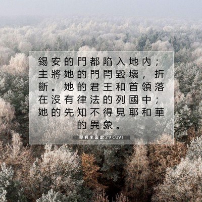 Picture 07 - 耶 利 米 哀 歌 2:9 CUVT - 錫 安 的 門 都 陷 入 地 內 ； 主 將 - Bible Verse Picture