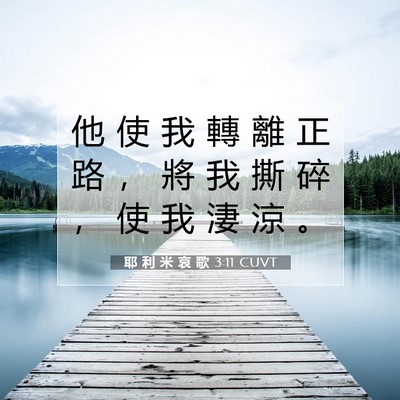 Picture 07 - 耶 利 米 哀 歌 3:11 CUVT - 他 使 我 轉 離 正 路 ， 將 我 撕 碎 - Bible Verse Picture