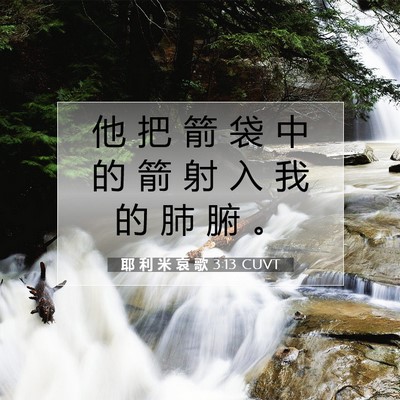 Picture 07 - 耶 利 米 哀 歌 3:13 CUVT - 他 把 箭 袋 中 的 箭 射 入 我 的 肺 - Bible Verse Picture