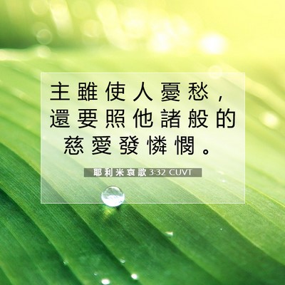 Picture 07 - 耶 利 米 哀 歌 3:32 CUVT - 主 雖 使 人 憂 愁 ， 還 要 照 他 諸 - Bible Verse Picture