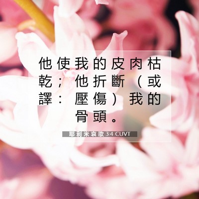 Picture 07 - 耶 利 米 哀 歌 3:4 CUVT - 他 使 我 的 皮 肉 枯 乾 ； 他 折 斷 - Bible Verse Picture