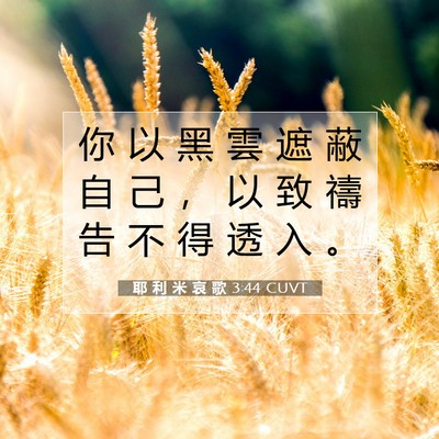 Picture 07 - 耶 利 米 哀 歌 3:44 CUVT - 你 以 黑 雲 遮 蔽 自 己 ， 以 致 禱 - Bible Verse Picture