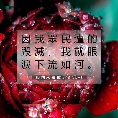 Picture 07 - 耶 利 米 哀 歌 3:48 CUVT - 因 我 眾 民 遭 的 毀 滅 ， 我 就 眼 - Bible Verse Picture