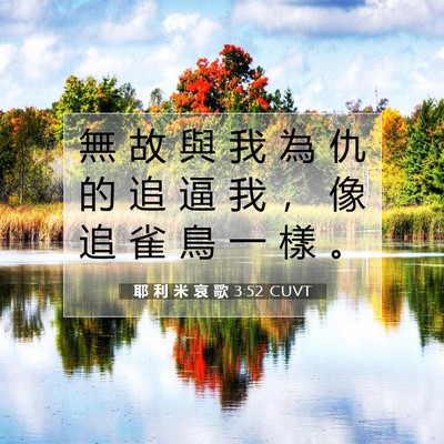 Picture 07 - 耶 利 米 哀 歌 3:52 CUVT - 無 故 與 我 為 仇 的 追 逼 我 ， 像 - Bible Verse Picture