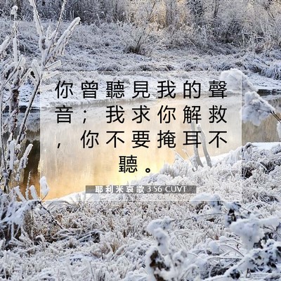 Picture 07 - 耶 利 米 哀 歌 3:56 CUVT - 你 曾 聽 見 我 的 聲 音 ； 我 求 你 - Bible Verse Picture
