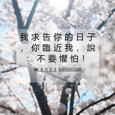 Picture 07 - 耶 利 米 哀 歌 3:57 CUVT - 我 求 告 你 的 日 子 ， 你 臨 近 我 - Bible Verse Picture
