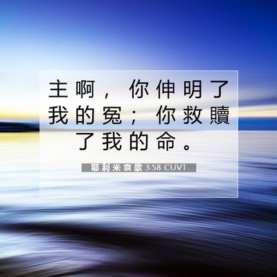 Picture 07 - 耶 利 米 哀 歌 3:58 CUVT - 主 啊 ， 你 伸 明 了 我 的 冤 ； 你 - Bible Verse Picture