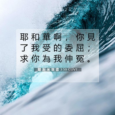 Picture 07 - 耶 利 米 哀 歌 3:59 CUVT - 耶 和 華 啊 ， 你 見 了 我 受 的 委 - Bible Verse Picture