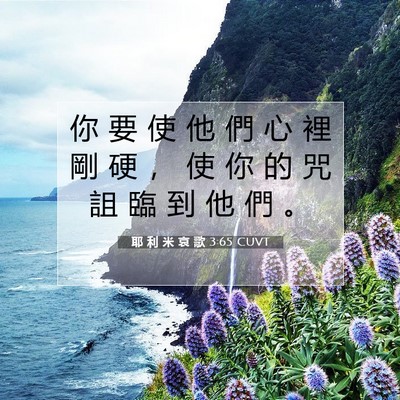 Picture 07 - 耶 利 米 哀 歌 3:65 CUVT - 你 要 使 他 們 心 裡 剛 硬 ， 使 你 - Bible Verse Picture
