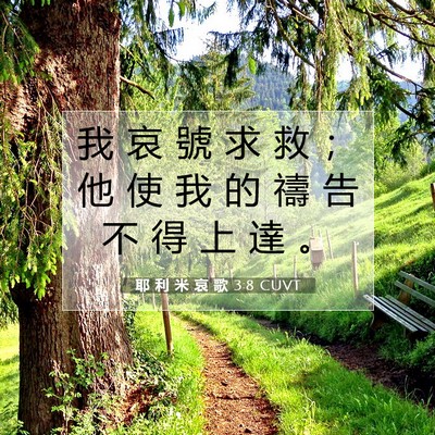 Picture 07 - 耶 利 米 哀 歌 3:8 CUVT - 我 哀 號 求 救 ； 他 使 我 的 禱 告 - Bible Verse Picture