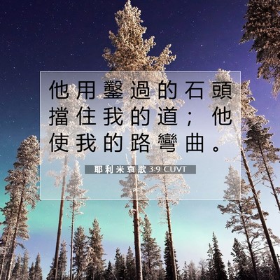 Picture 07 - 耶 利 米 哀 歌 3:9 CUVT - 他 用 鑿 過 的 石 頭 擋 住 我 的 道 - Bible Verse Picture