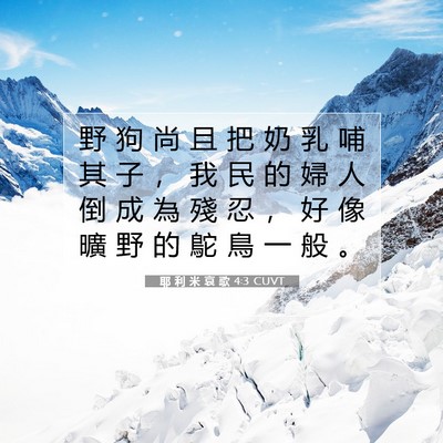 Picture 07 - 耶 利 米 哀 歌 4:3 CUVT - 野 狗 尚 且 把 奶 乳 哺 其 子 ， 我 - Bible Verse Picture
