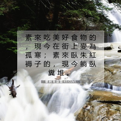Picture 07 - 耶 利 米 哀 歌 4:5 CUVT - 素 來 吃 美 好 食 物 的 ， 現 今 在 - Bible Verse Picture