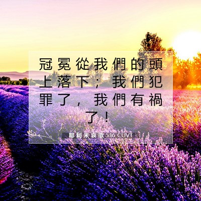 Picture 07 - 耶 利 米 哀 歌 5:16 CUVT - 冠 冕 從 我 們 的 頭 上 落 下 ； 我 - Bible Verse Picture