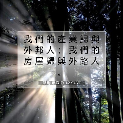 Picture 07 - 耶 利 米 哀 歌 5:2 CUVT - 我 們 的 產 業 歸 與 外 邦 人 ； 我 - Bible Verse Picture