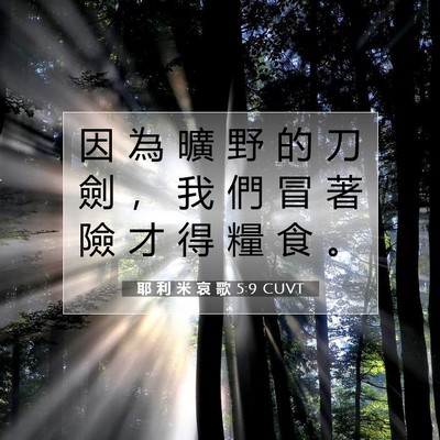 Picture 07 - 耶 利 米 哀 歌 5:9 CUVT - 因 為 曠 野 的 刀 劍 ， 我 們 冒 著 - Bible Verse Picture