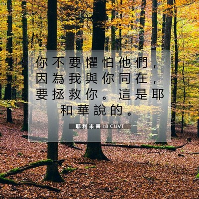 Picture 07 - 耶 利 米 書 1:8 CUVT - 你 不 要 懼 怕 他 們 ， 因 為 我 與 - Bible Verse Picture