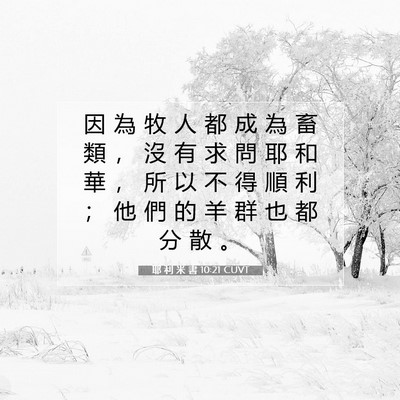 Picture 07 - 耶 利 米 書 10:21 CUVT - 因 為 牧 人 都 成 為 畜 類 ， 沒 有 - Bible Verse Picture