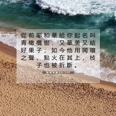 Picture 07 - 耶 利 米 書 11:16 CUVT - 從 前 耶 和 華 給 你 起 名 叫 青 橄 - Bible Verse Picture