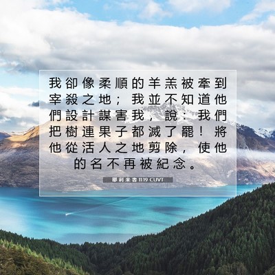 Picture 07 - 耶 利 米 書 11:19 CUVT - 我 卻 像 柔 順 的 羊 羔 被 牽 到 宰 - Bible Verse Picture