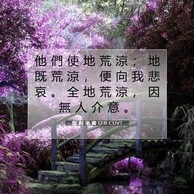 Picture 07 - 耶 利 米 書 12:11 CUVT - 他 們 使 地 荒 涼 ； 地 既 荒 涼 ， - Bible Verse Picture