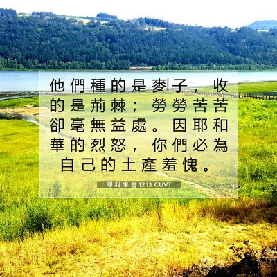 Picture 07 - 耶 利 米 書 12:13 CUVT - 他 們 種 的 是 麥 子 ， 收 的 是 荊 - Bible Verse Picture