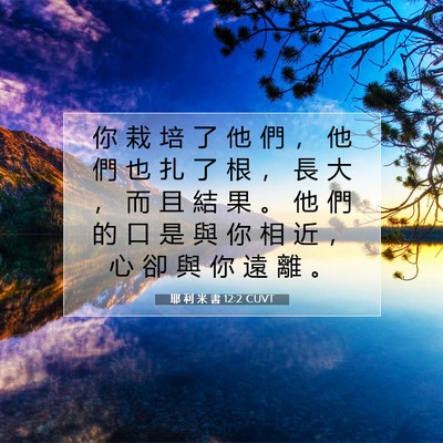 Picture 07 - 耶 利 米 書 12:2 CUVT - 你 栽 培 了 他 們 ， 他 們 也 扎 了 - Bible Verse Picture