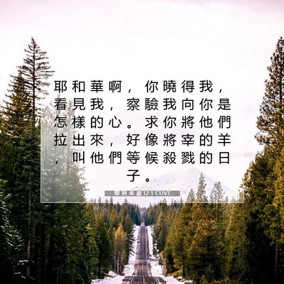 Picture 07 - 耶 利 米 書 12:3 CUVT - 耶 和 華 啊 ， 你 曉 得 我 ， 看 見 - Bible Verse Picture
